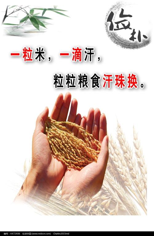 内布拉斯加大学林肯分校毕业证